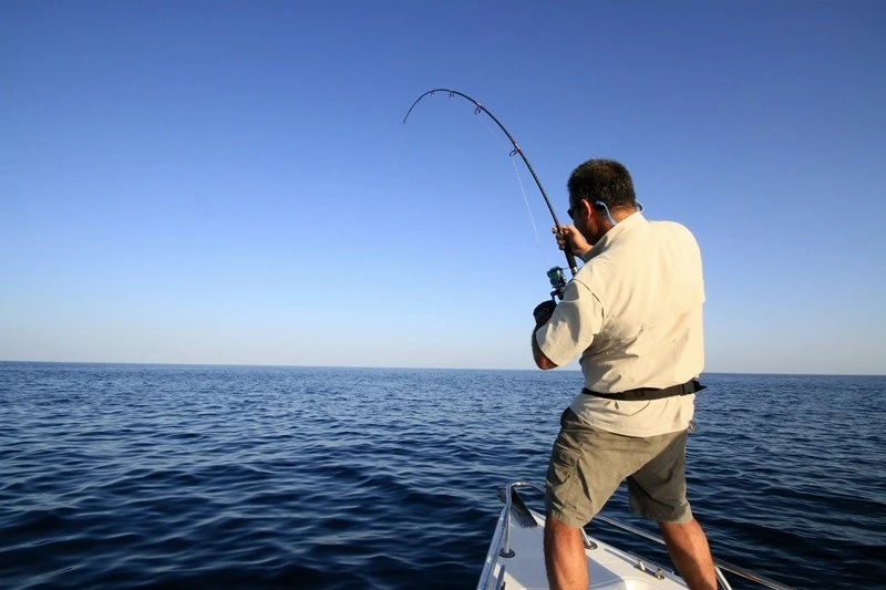 Promos Lignes Magasin -Promos Lignes Magasin 3434543434